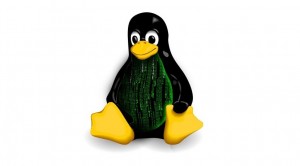 kernel-linux