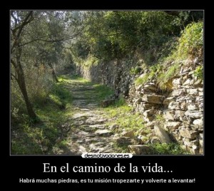 Camino.de.piedra